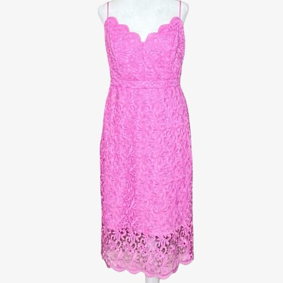 NWT J. Crew Pink Guipure Lace Dress 2 Party Wedding Coquette Feminine Fairy - Picture 2 of 12